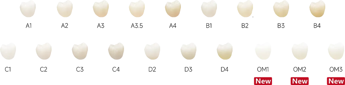 瓷倍健ST-COLOR_4.webp