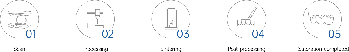 瓷倍健ST-COLOR_6.webp