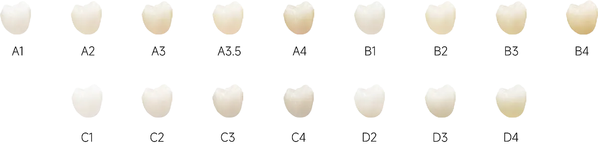 瓷倍健ST-ML_4.webp