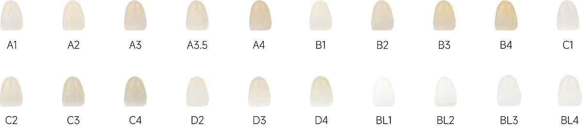 魅影ESTHETIC_6.webp