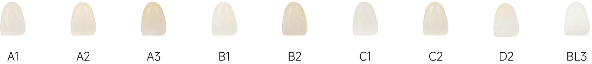 魅影HYBRID_5.webp