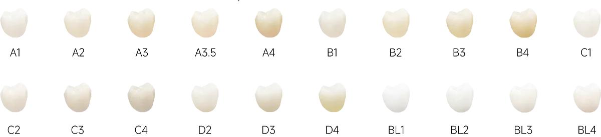 魅影FUNCTIONAL_6.webp