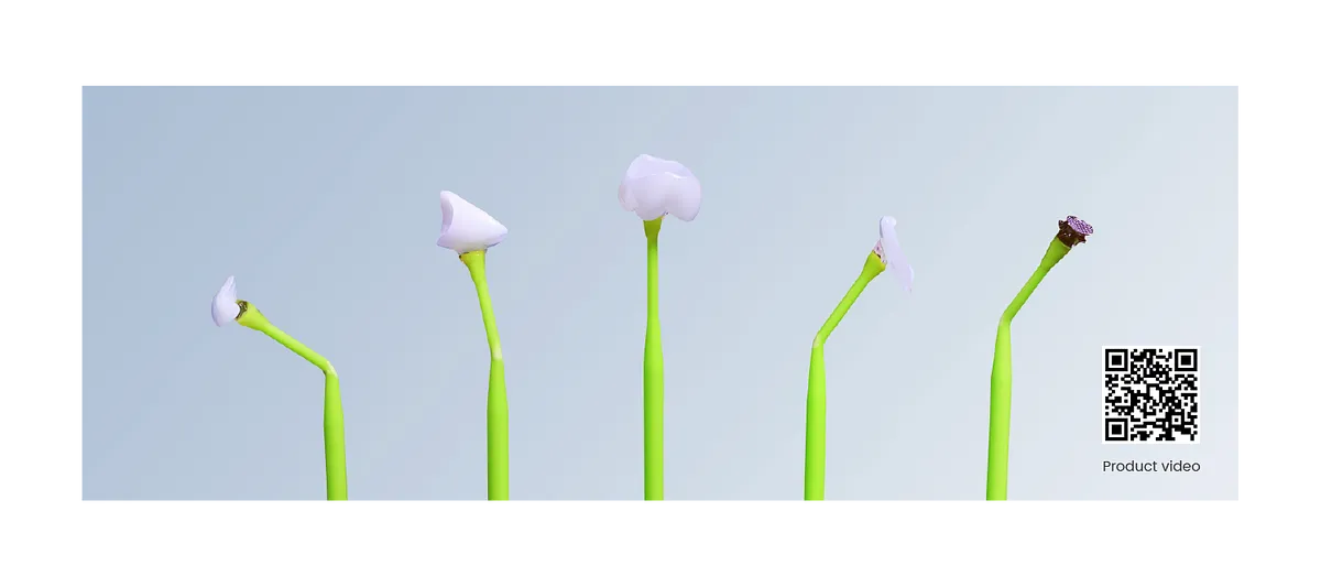2-stick.webp