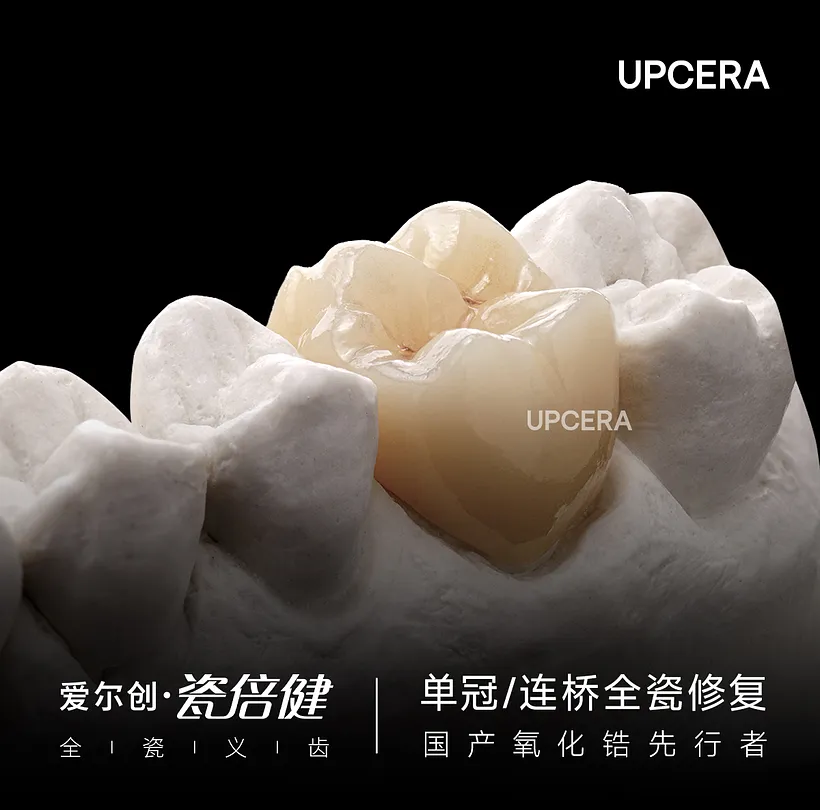 8.webp